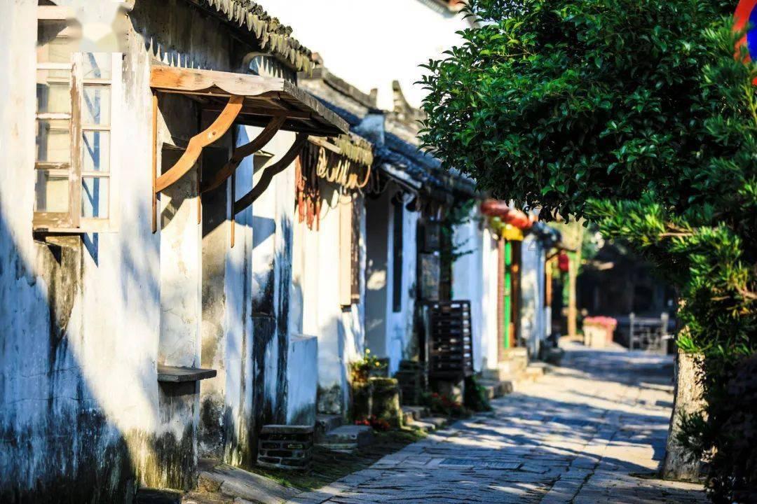 侏罗纪世界进化